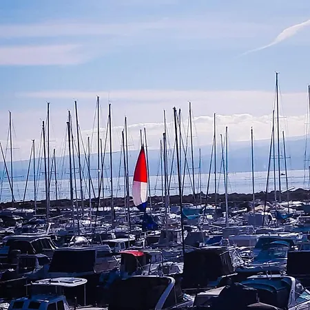 Seahorse9 * Σπλιτ